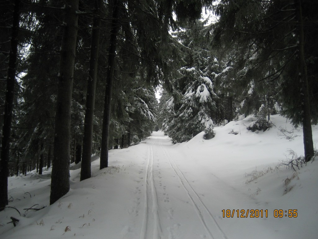 Na cestě z Červenovodského sedla