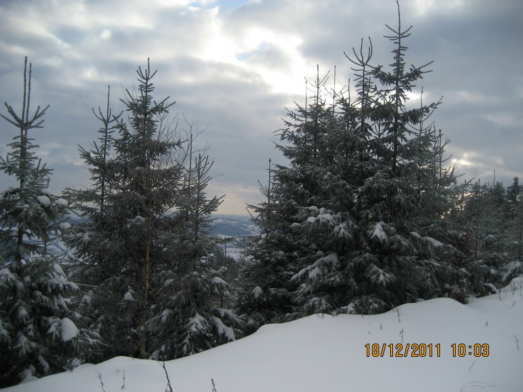 Nad Mlýnickým Dvorem